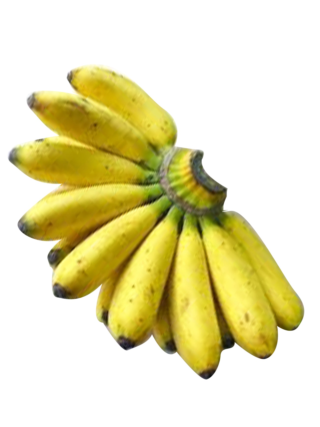 PISANG RASTALI (+/- 1KG)