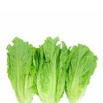 YAU MAK THAM +/-400G