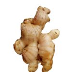 YOUNG GINGER (HALIA MUDA) +/-200G
