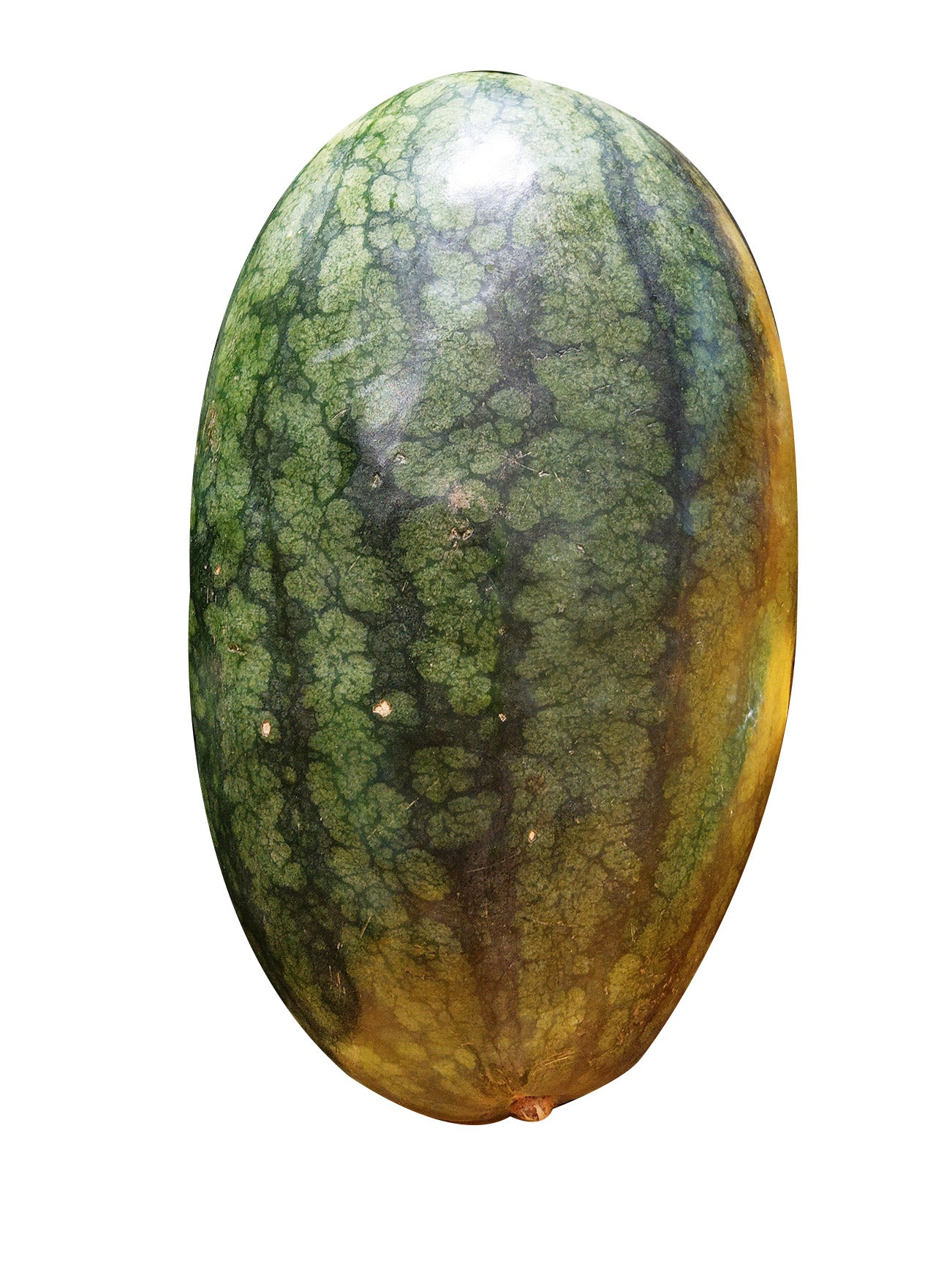 BLACK BEAUTY MELON (+/-3KG)