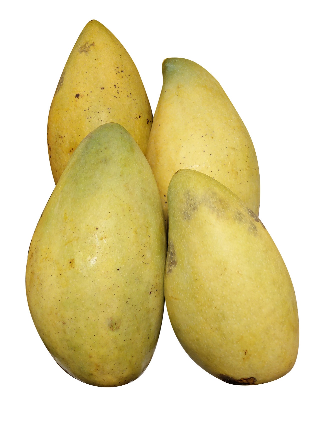GOLDEN PHOENIX MANGO (+/- 800G)