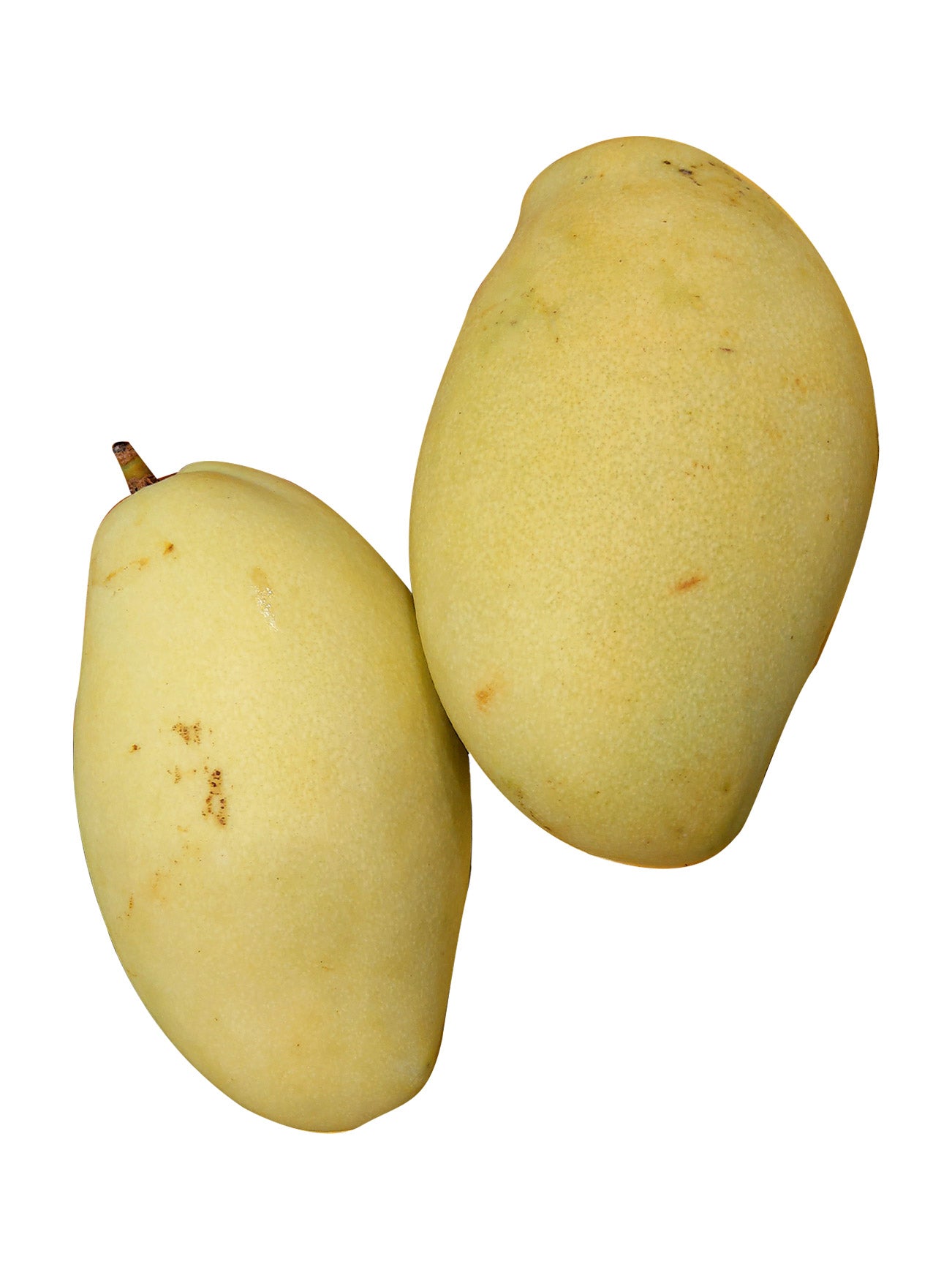 GOLDEN SUSU MANGO (+/- 700G)