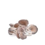 FAVRIC GREY OYSTER MUSHROOM 200G